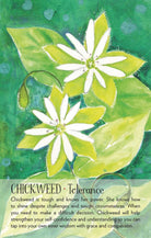 Soulflower Plant Spirit Oracle card celebrating the deck's unique visual language — Eternal Spirit