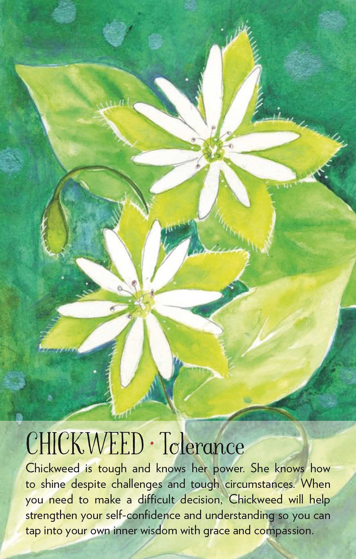 Soulflower Plant Spirit Oracle card celebrating the deck's unique visual language — Eternal Spirit