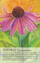 Soulflower Plant Spirit Oracle card revealing the deck's mystical artwork — Eternal Spirit