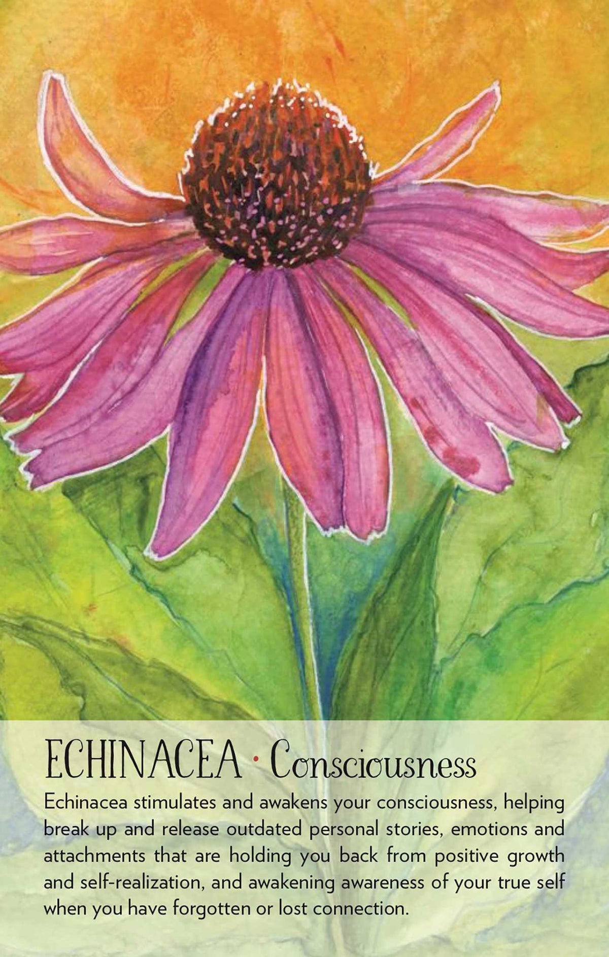 Soulflower Plant Spirit Oracle card revealing the deck's mystical artwork — Eternal Spirit
