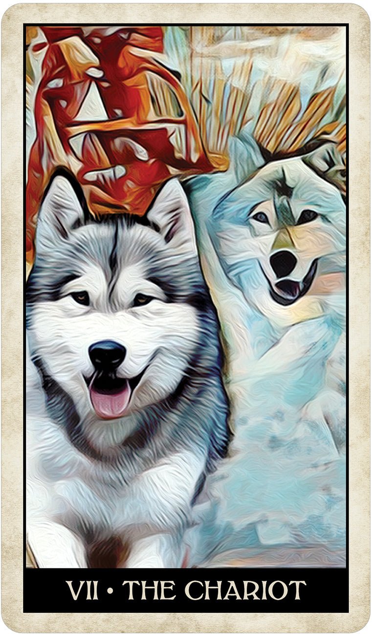 VII The Chariot card with running dog in snowy landscape, Wise Dog Tarot — Eternal Spirit
