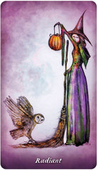 Earthly Souls and Spirits Moon Oracle card showcasing the deck's evocative imagery — Eternal Spirit