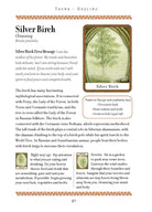 Wisdom of Trees Oracle card showing the deck's detailed artistic vision — Eternal Spirit