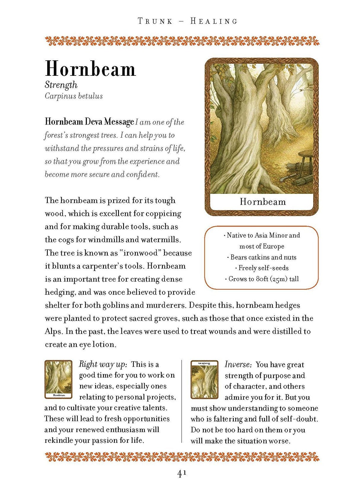 Wisdom of Trees Oracle card featuring the deck's enchanting card art — Eternal Spirit