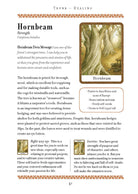 Wisdom of Trees Oracle card featuring the deck's enchanting card art — Eternal Spirit