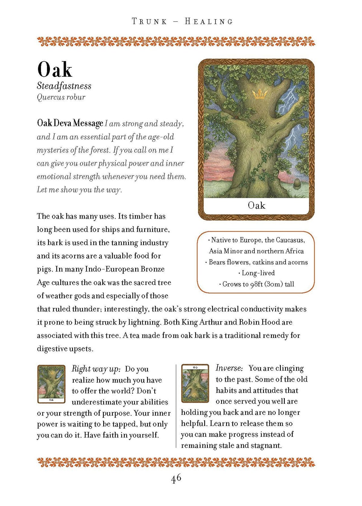 Wisdom of Trees Oracle card exploring the deck's contemplative imagery — Eternal Spirit