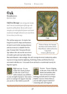 Wisdom of Trees Oracle card exploring the deck's contemplative imagery — Eternal Spirit