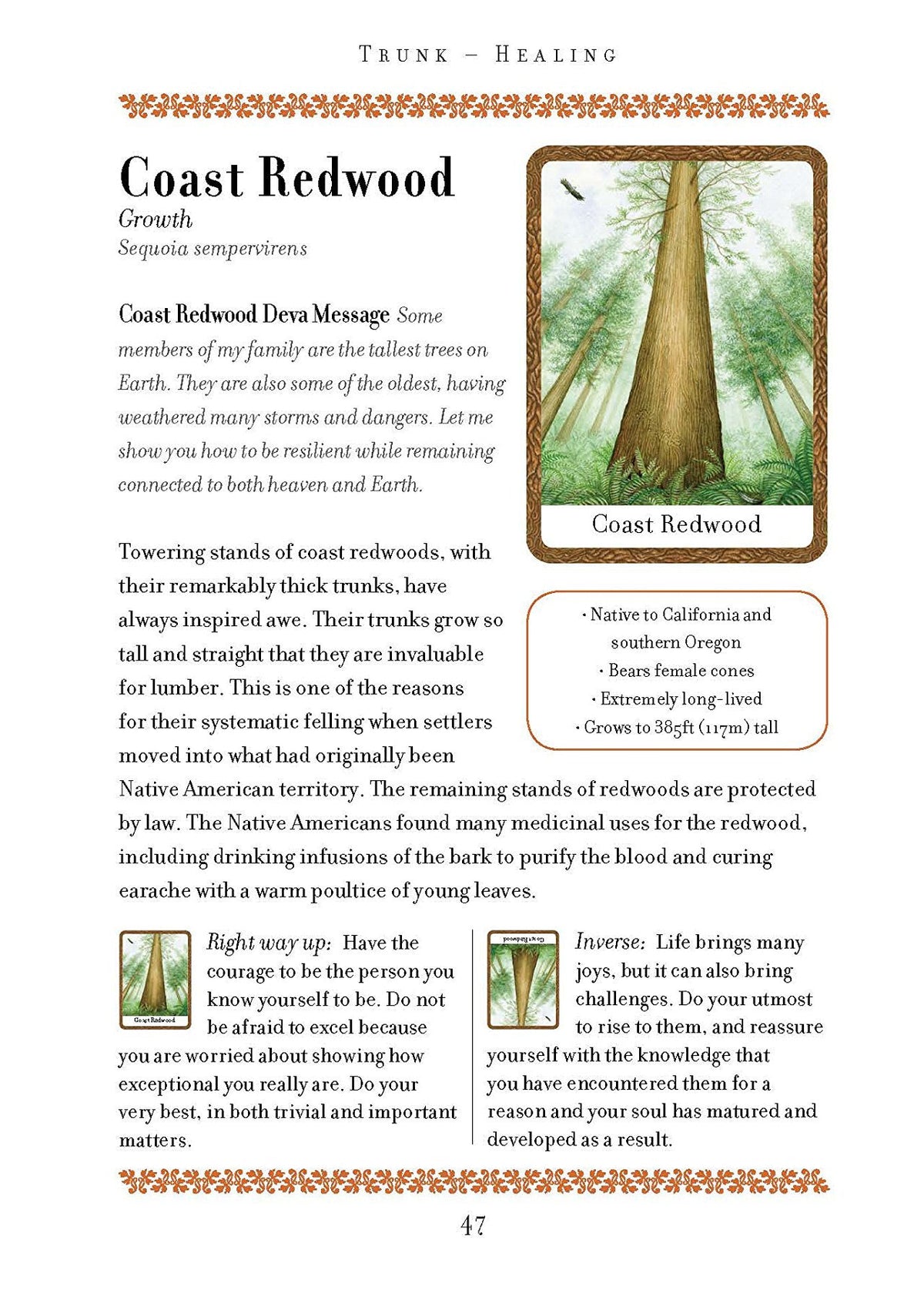 Wisdom of Trees Oracle card sharing the deck's luminous illustration style — Eternal Spirit