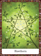 Wisdom of Trees Oracle card revealing the deck's deeply layered symbolism — Eternal Spirit