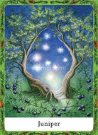 Wisdom of Trees Oracle card celebrating the deck's unique visual language — Eternal Spirit