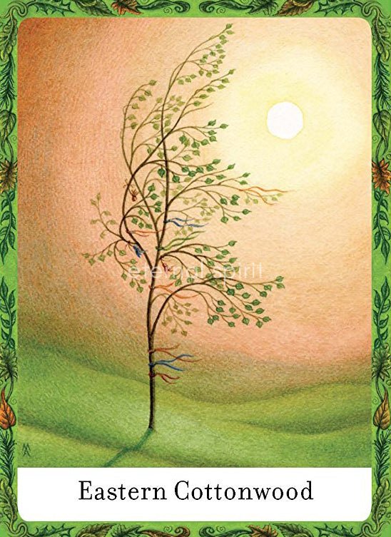 Wisdom of Trees Oracle card revealing the deck's mystical artwork — Eternal Spirit