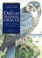 The Druid Animal Oracle box with Celtic animal art and knotwork — Eternal Spirit