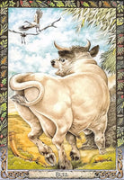 Druid Animal Oracle card unveiling the deck's spiritual symbolism — Eternal Spirit