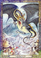 Druid Animal Oracle card showcasing the deck's evocative imagery — Eternal Spirit