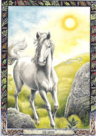 Druid Animal Oracle card displaying the deck's hand-painted illustrations — Eternal Spirit