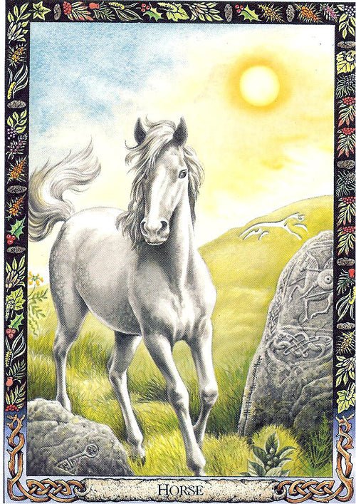 Druid Animal Oracle card displaying the deck's hand-painted illustrations — Eternal Spirit