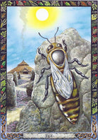 Druid Animal Oracle card highlighting the deck's symbolic art — Eternal Spirit