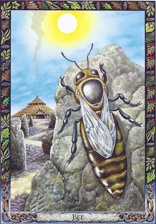 Druid Animal Oracle card highlighting the deck's symbolic art — Eternal Spirit