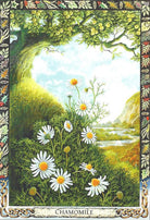 Druid Animal Oracle card capturing the deck's intuitive artistry — Eternal Spirit