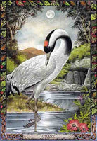 Druid Animal Oracle card presenting the deck's visionary illustrations — Eternal Spirit