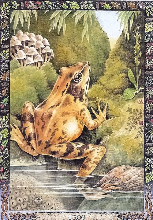 Druid Animal Oracle card showing the deck's detailed artistic vision — Eternal Spirit