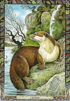 Druid Animal Oracle card sharing the deck's luminous illustration style — Eternal Spirit