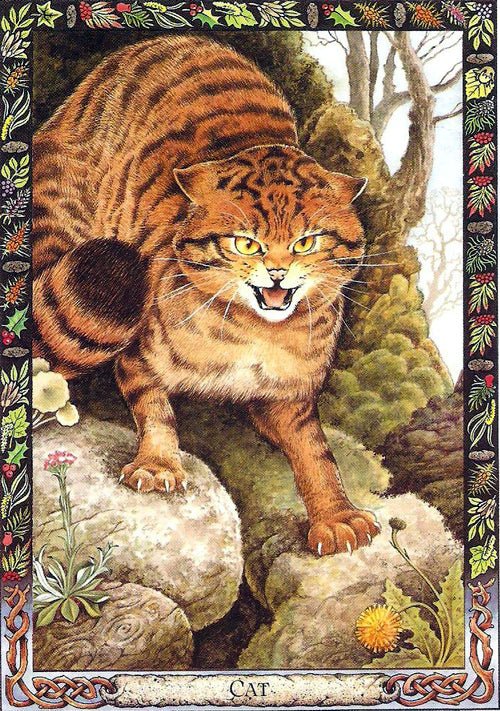Druid Animal Oracle deck, Tiger cub card with detailed wildlife watercolour painting — Eternal Spirit
