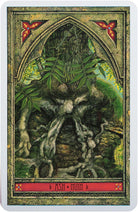 Spirit Of Nature Oracle deck, Ladybird Good Luck card with bright red ladybug on green leaf — Eternal Spirit