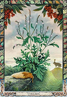 Druid Plant Oracle card demonstrating the deck's inspired artistry — Eternal Spirit