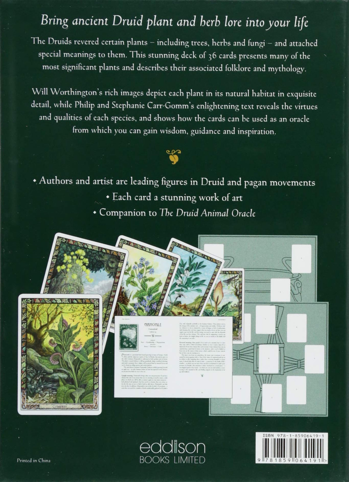 Guidebook page with Druid plant lore and herbal healing illustrations — Eternal Spirit