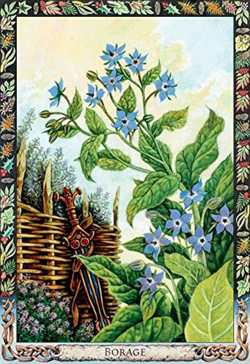 Druid Plant Oracle card exhibiting the deck's transformative card art — Eternal Spirit