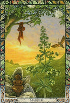 Druid Plant Oracle card showcasing the deck's evocative imagery — Eternal Spirit