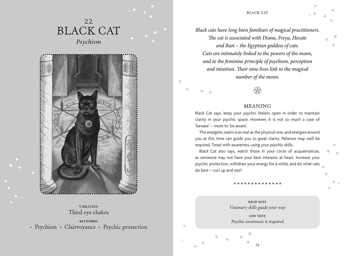 The Witches' Oracle card showcasing the deck's evocative imagery — Eternal Spirit