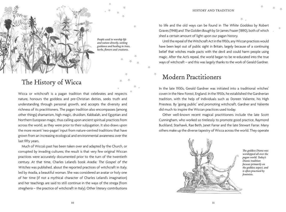 The Witches' Oracle card displaying the deck's hand-painted illustrations — Eternal Spirit