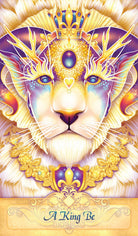 Seeker Oracle card illuminating the deck's rich colour palette — Eternal Spirit