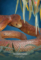 Wild Wisdom Australia Cards card presenting the deck's visionary illustrations — Eternal Spirit