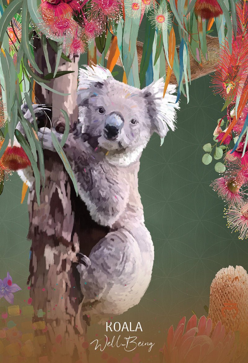 Wild Wisdom Australia Cards, Koala card with watercolour koala portrait on branch in eucalypt — Eternal Spirit