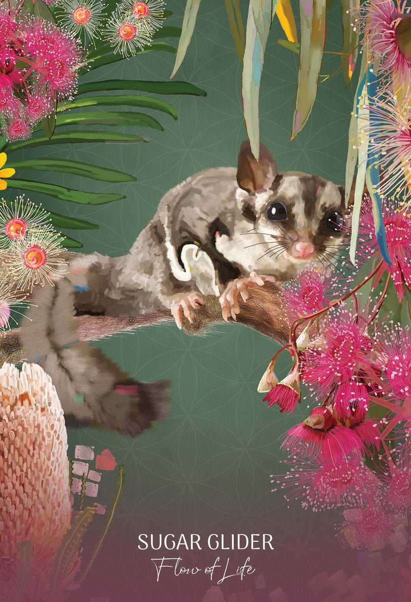 Wild Wisdom Australia Cards card unveiling the deck's spiritual symbolism — Eternal Spirit