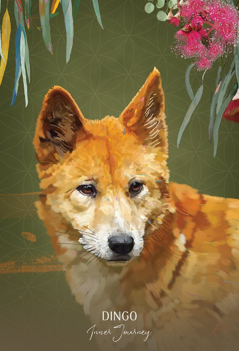 Wild Wisdom Australia Cards card illuminating the deck's rich colour palette — Eternal Spirit