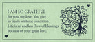 Soul Mate Cards, I Am So Grateful card with gold script and gratitude affirmation — Eternal Spirit