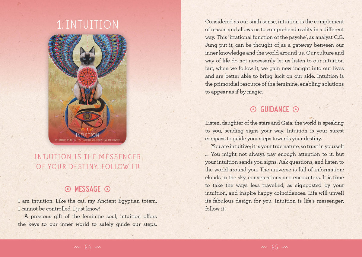 The Medicine Woman Oracle card capturing the deck's intuitive artistry — Eternal Spirit
