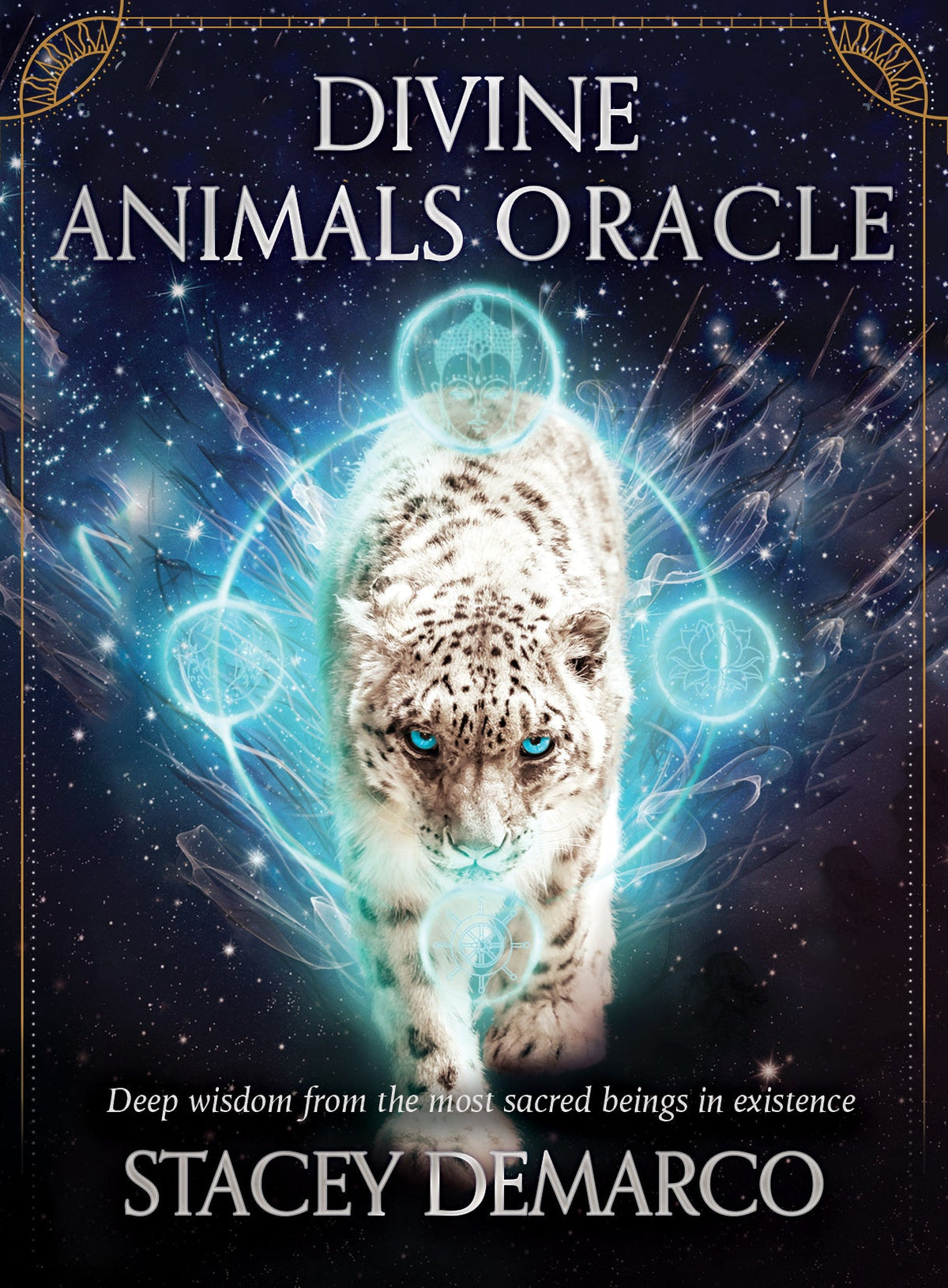 Divine Animals Oracle dark box with illustrated animals by Stacey Demarco — Eternal Spirit