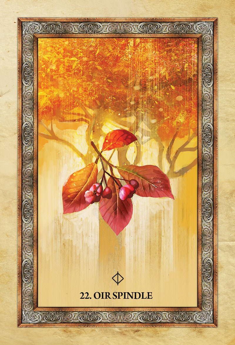 Celtic Tree Oracle card unveiling the deck's spiritual symbolism — Eternal Spirit