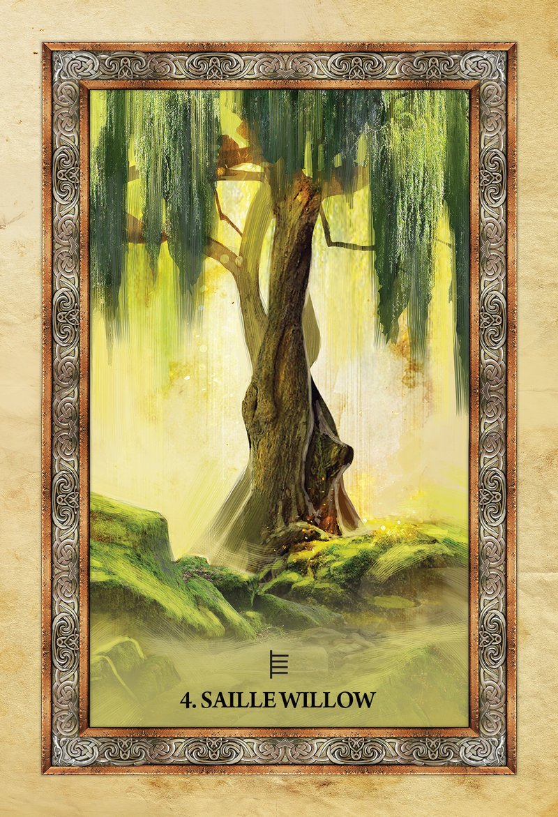 Celtic Tree Oracle deck, Hazel Willow card with woman and owl amid flowing willow branches — Eternal Spirit