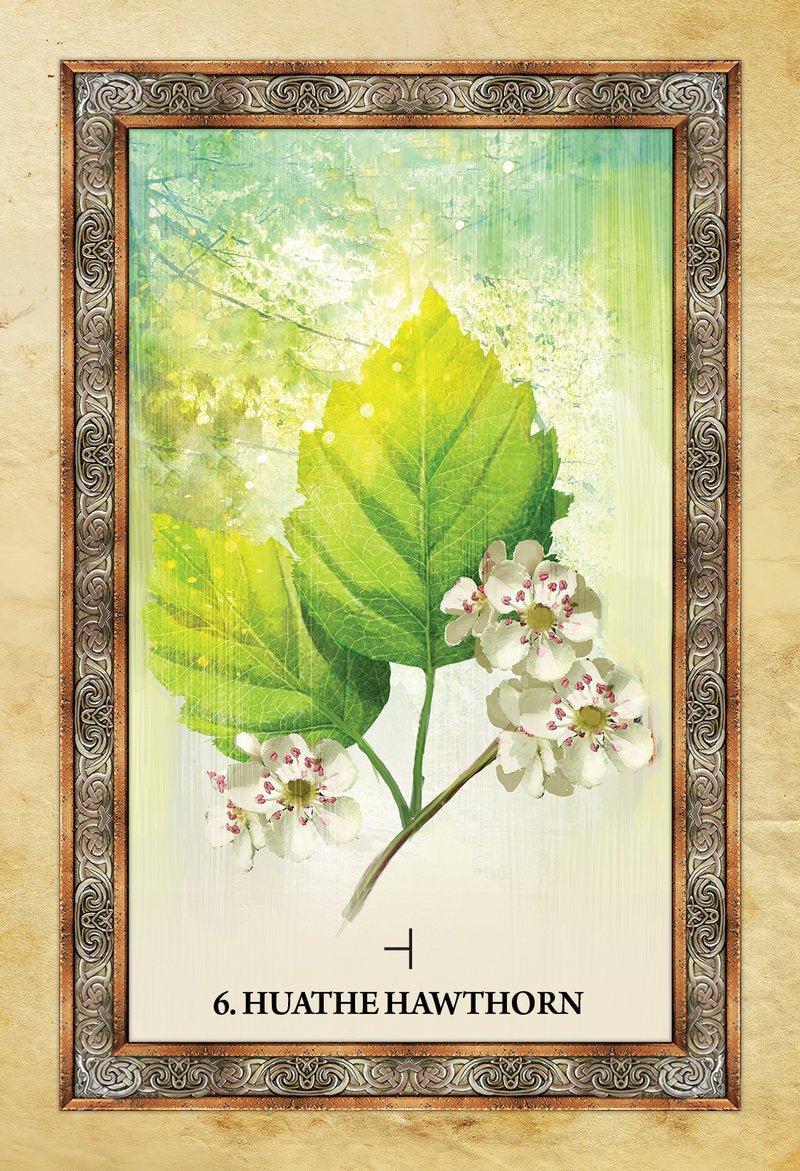 Celtic Tree Oracle card showcasing the deck's evocative imagery — Eternal Spirit