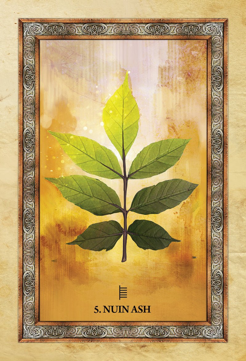 Celtic Tree Oracle card highlighting the deck's symbolic art — Eternal Spirit