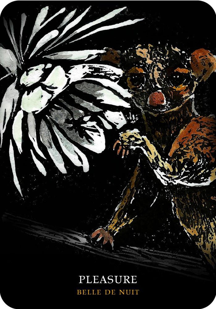 Flowers of the Night Oracle card capturing the deck's intuitive artistry — Eternal Spirit