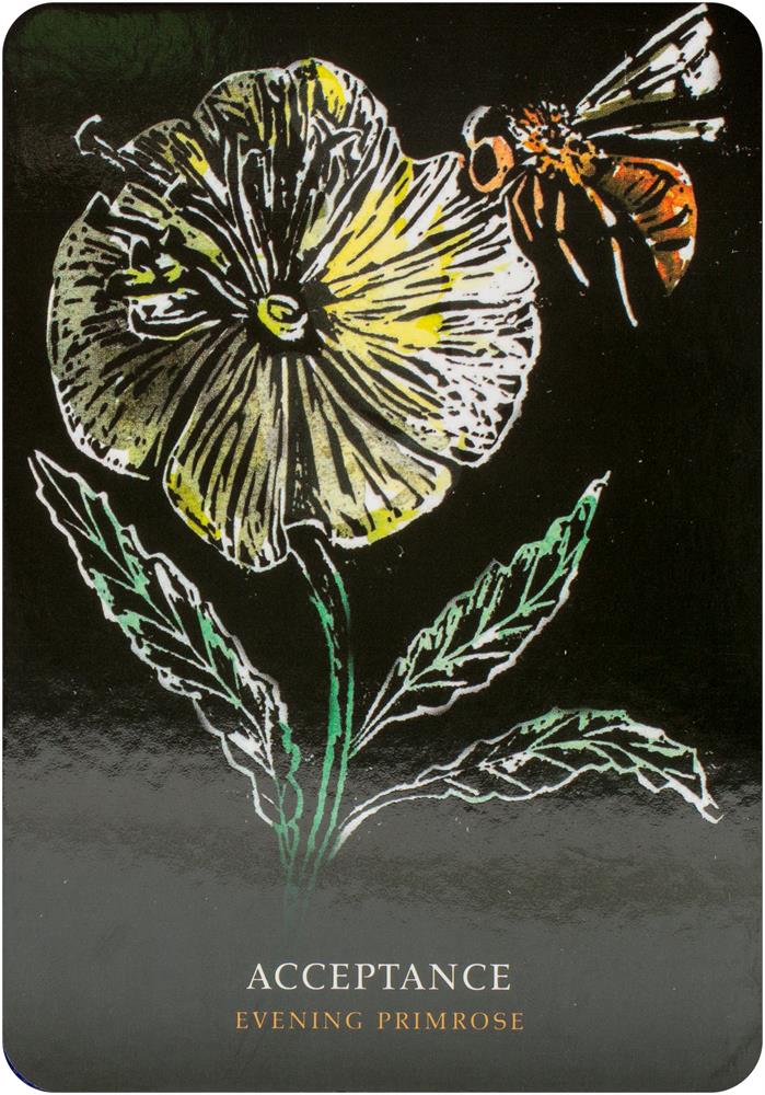 Flowers Of The Night Oracle deck, Acceptance card with dark botanical butterfly and flower illustration — Eternal Spirit