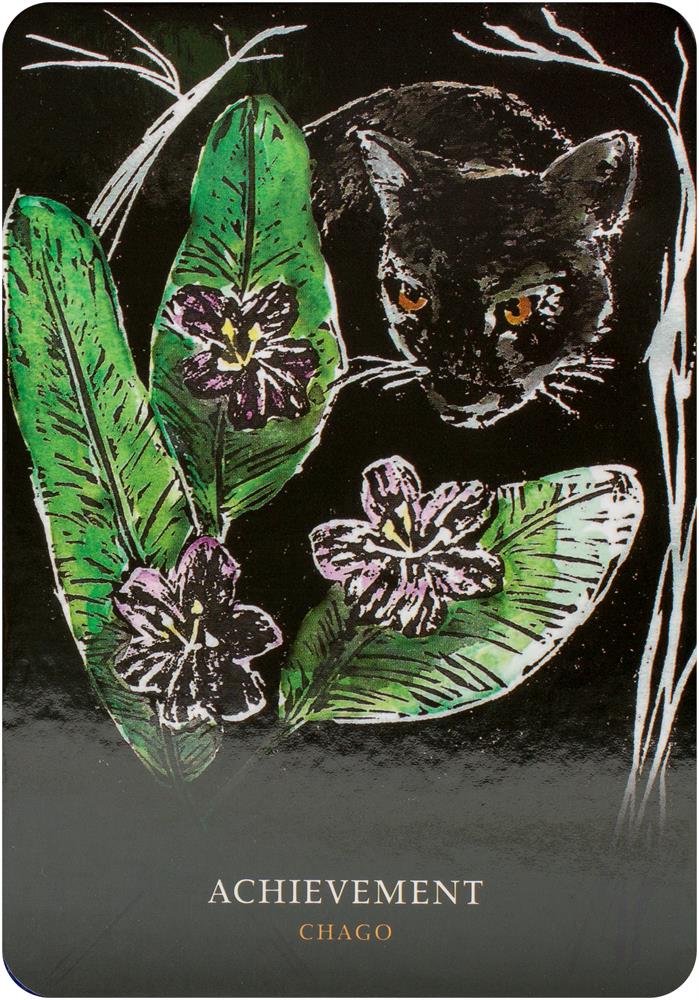 Flowers of the Night Oracle card showcasing the deck's evocative imagery — Eternal Spirit