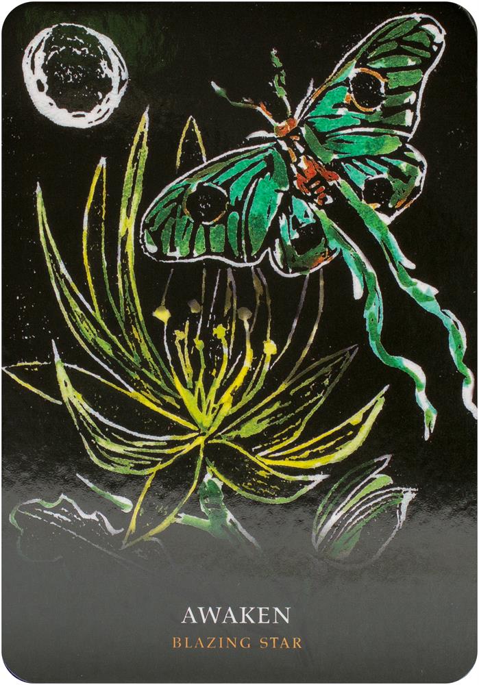 Flowers of the Night Oracle card highlighting the deck's symbolic art — Eternal Spirit